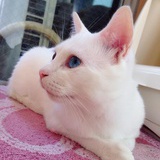 Eleanor