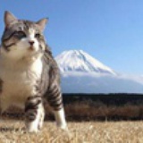 不知道不说先生