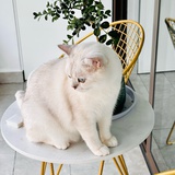 hiheng