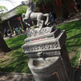 大橘子fighting