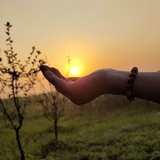 sunny不染尘