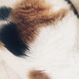 有的没的