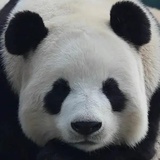 随便挺好可以的