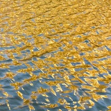 七