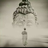 四木倾心