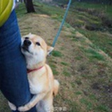山亭