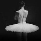 shirleyxuxu