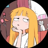 猫咪好天气