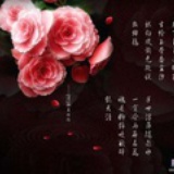 自然& 自由