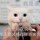 顿卡