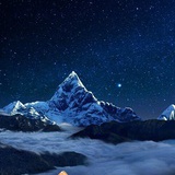 鲜