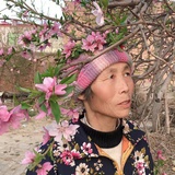 勇梦生顺