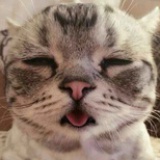 李贤明