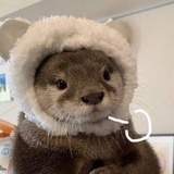 云朵在翻滚