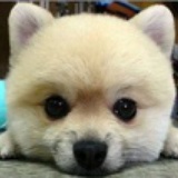 蓝色