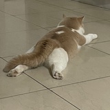 幸子