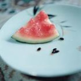 いきもの阿呆