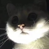 ㅇㅈㅇ