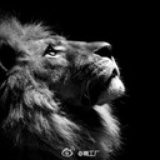 萧大侠