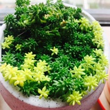 阡陌