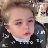 野猪飞飞