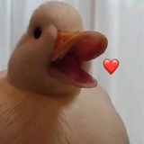 幕来