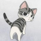 不吃鱼