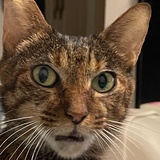 就不告你俺是谁