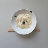 哩哩拉
