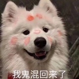 マサキベビー
