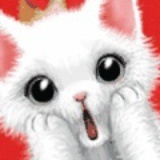 猫猫