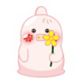 小黄花儿~菇凉