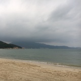 桐花万里路
