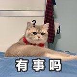 柒