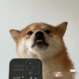 就爱冲浪