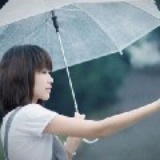 安静的雨