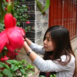 蝶舞莲花