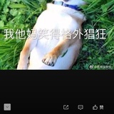 明月出天山