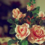 blossom