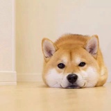 滚筒洗衣机一