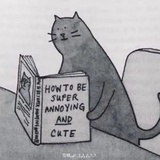 小裙子