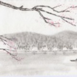 毛毛虫在路上