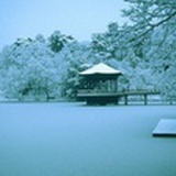 Snowy_river