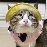 拾捌