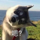 窝窝头