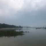 LF旺