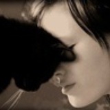 _sun 猫