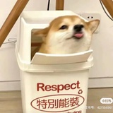 绿色彼岸