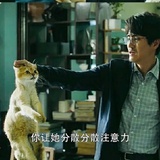 努力努力白努力