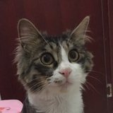 郝富贵